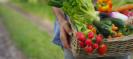 Salud y alimentación