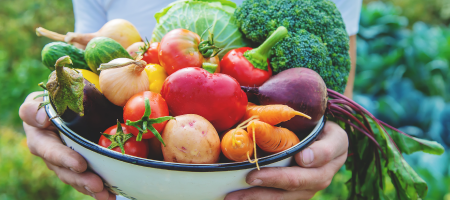 Plato hondo con verduras (col, brócoli, zanahorias, cebollas, patatas, tomates y pimientos) en manos de una persona.