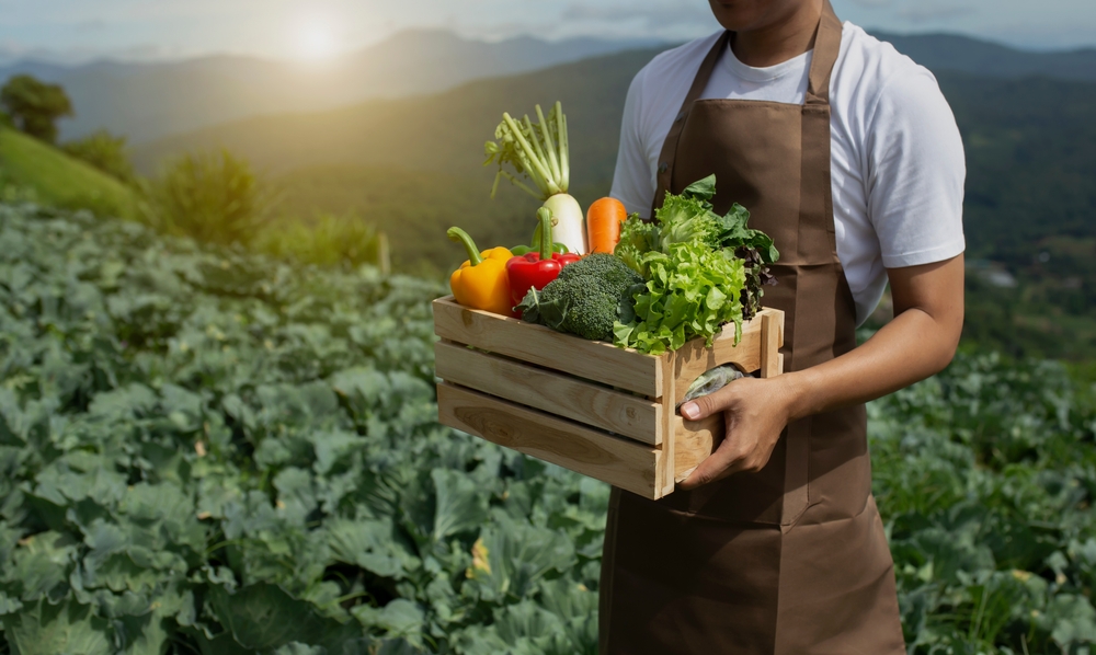 Les traemos una selección de restaurantes que trabajan con producto ecolocal. Atrévete a probar experiencias gastronómicas con sabor a Canarias.